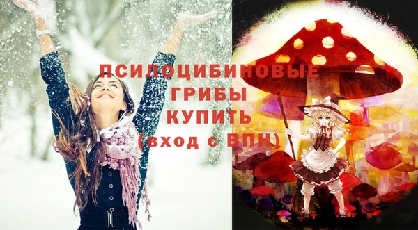 СК Алапаевск
