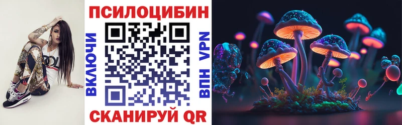 наркотики  darknet формула  Псилоцибиновые грибы мухоморы  Северск 