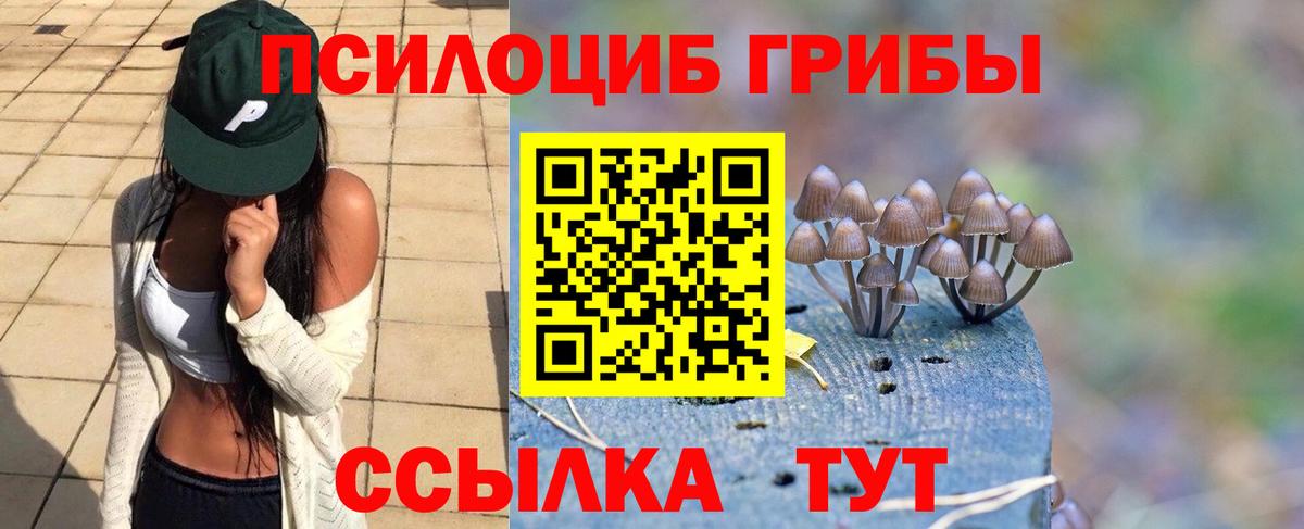 Северск  Псилоцибиновые грибы MAGIC MUSHROOMS  Вход с VPN  Псилоцибиновые грибы мицелий 