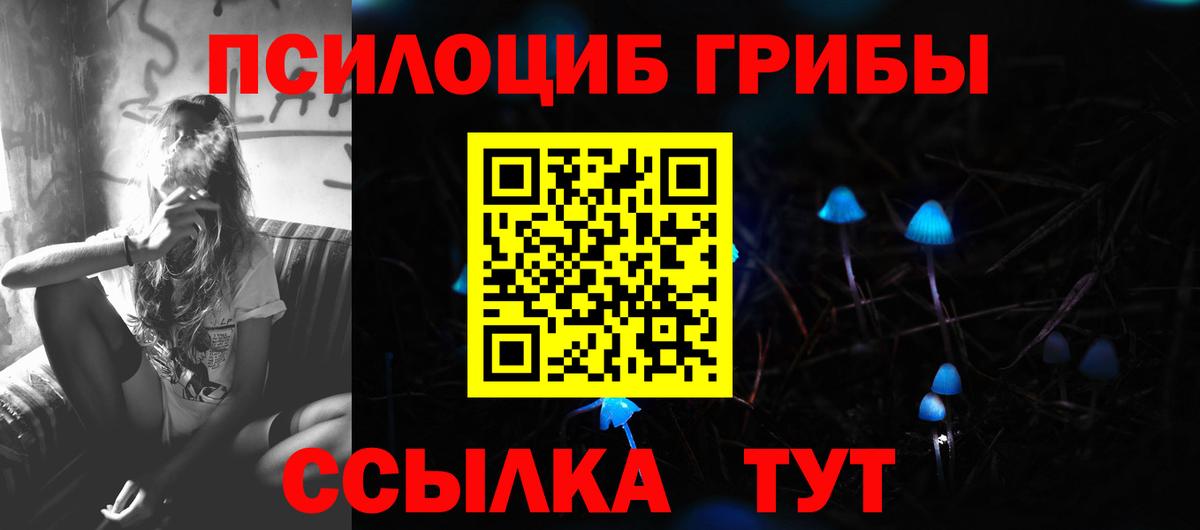 Псилоцибиновые грибы Cubensis  Галлюциногенные грибы мицелий  магазин  наркотиков  Северск 